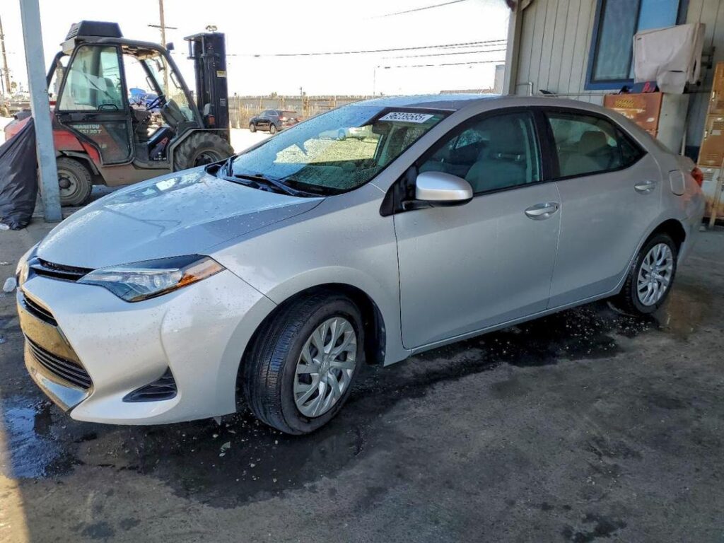 WhatsApp Image 2026-03-25 at 1.21.32 PM